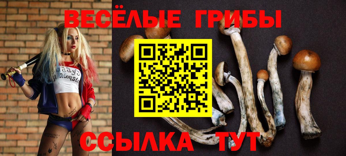 Галлюциногенные грибы Psilocybe  Вход с VPN  как найти закладки  Артём 