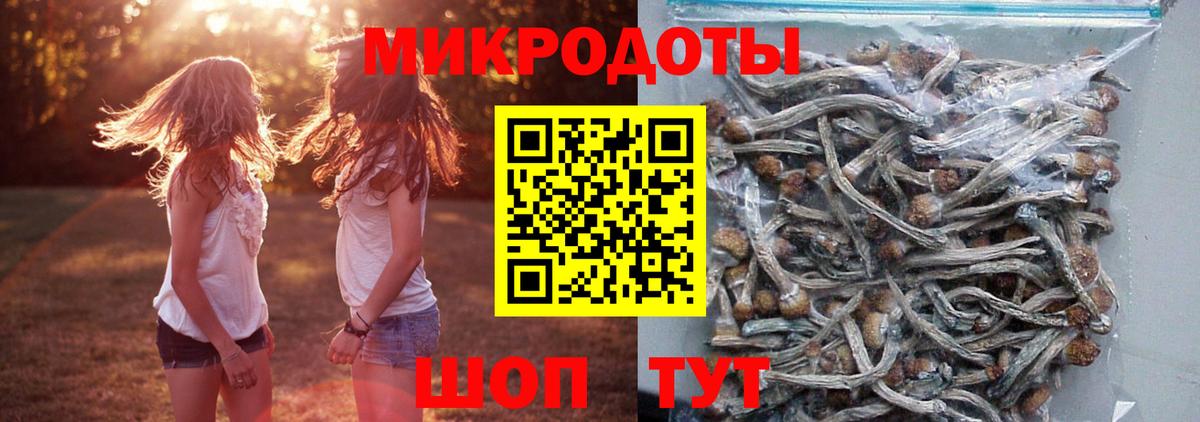 Псилоцибиновые грибы MAGIC MUSHROOMS Артём